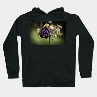 Purple Columbine Hoodie